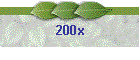 200x