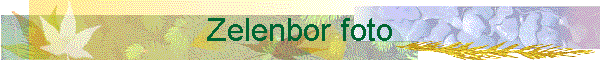 Zelenbor foto