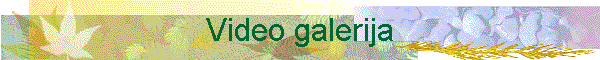 Video galerija